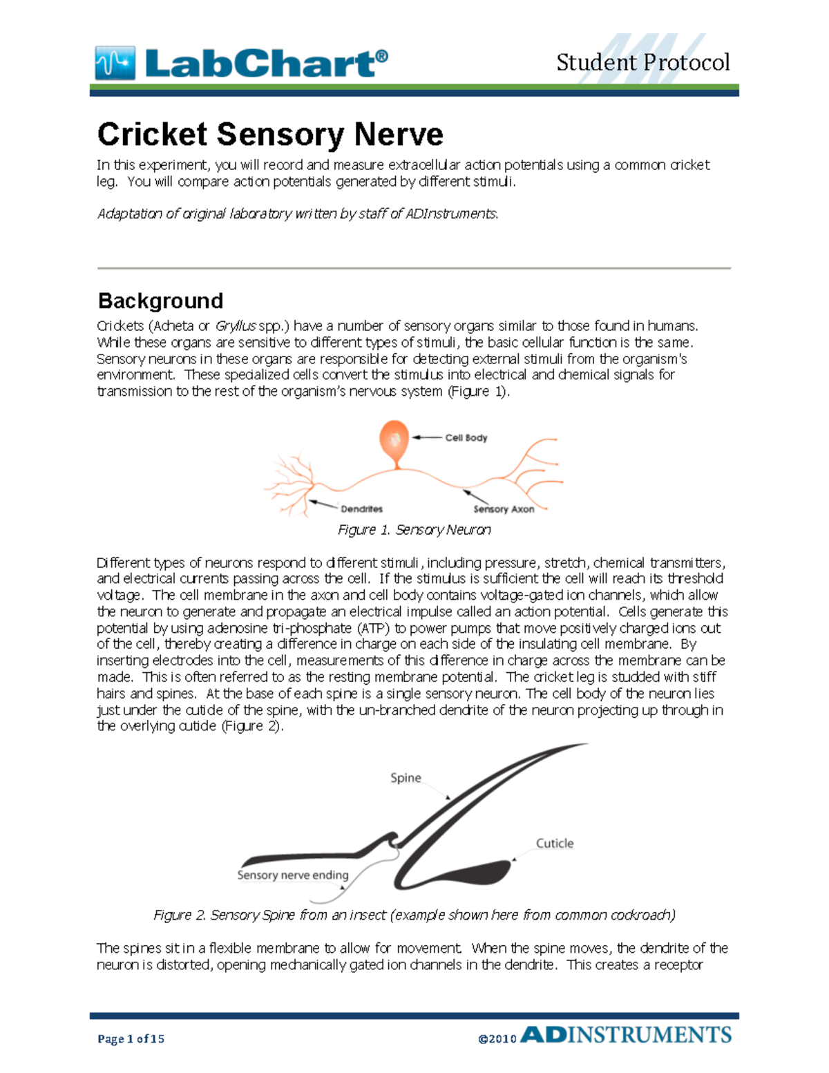 Lab 4 Cricket Sensory Nerve Student Protocol Page 1 of 15 ©20 10