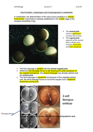 case study genetics