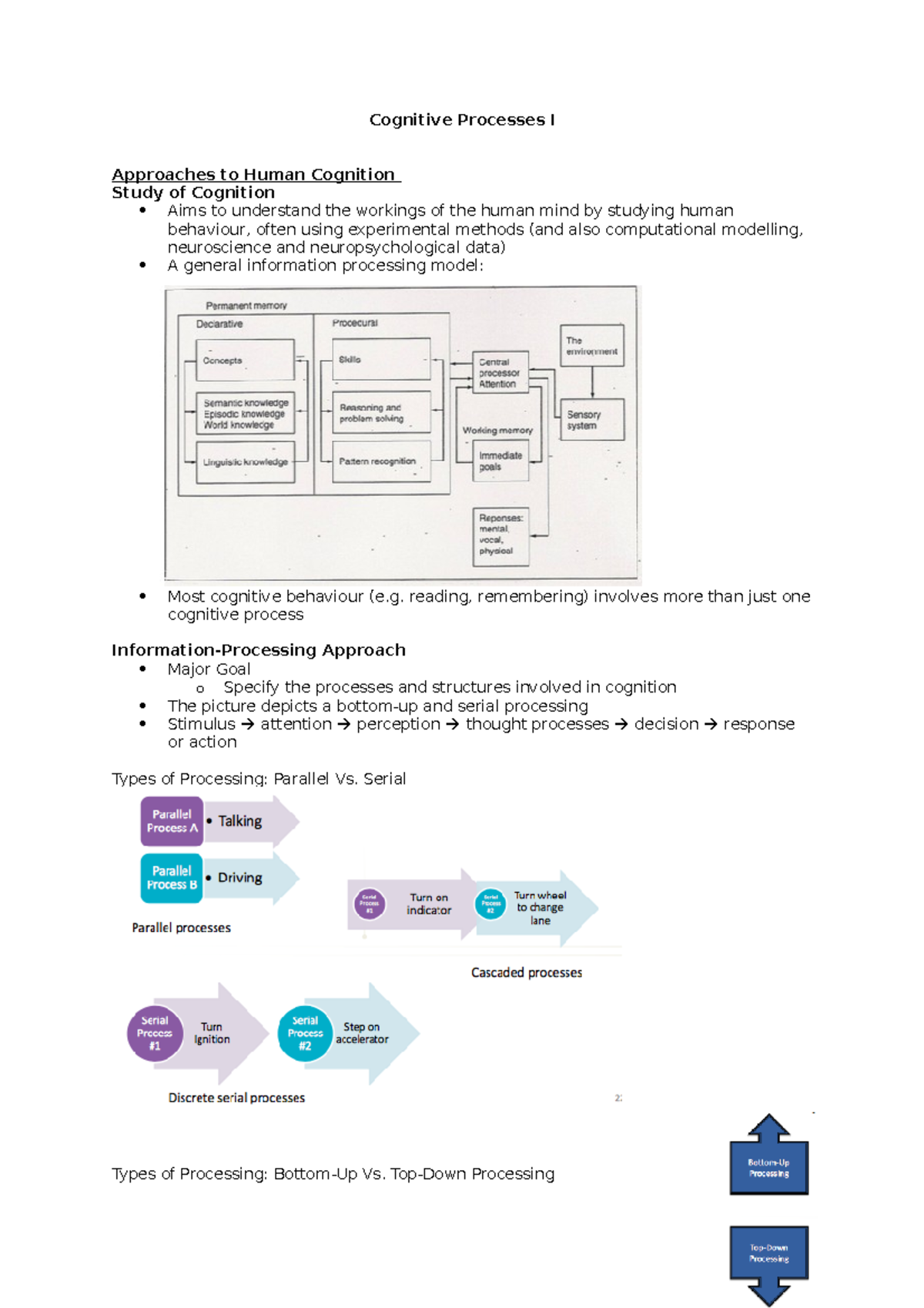 Cognitive Processes PSY246 Lecture Notes - Cognitive Processes I ...