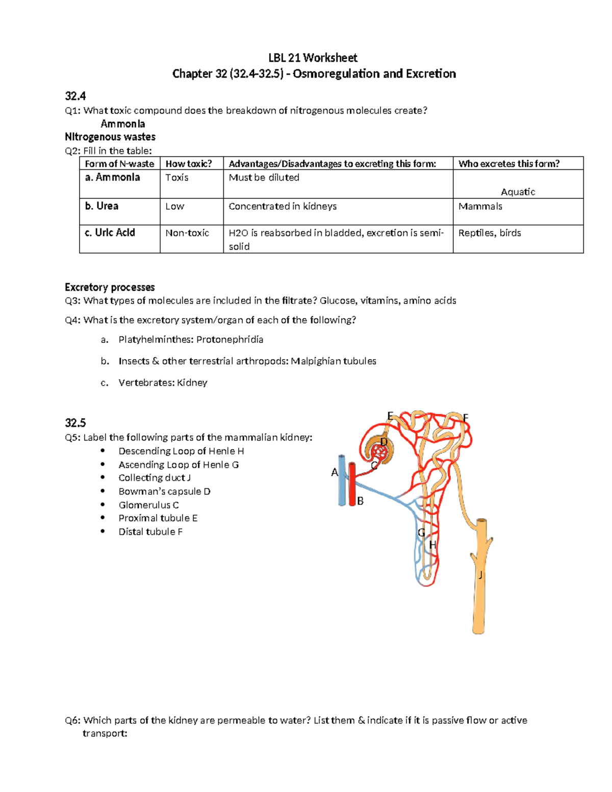 LBL21 - Osmo Excretion - LBL 21 Worksheet Chapter 32 (32.4-32 ...