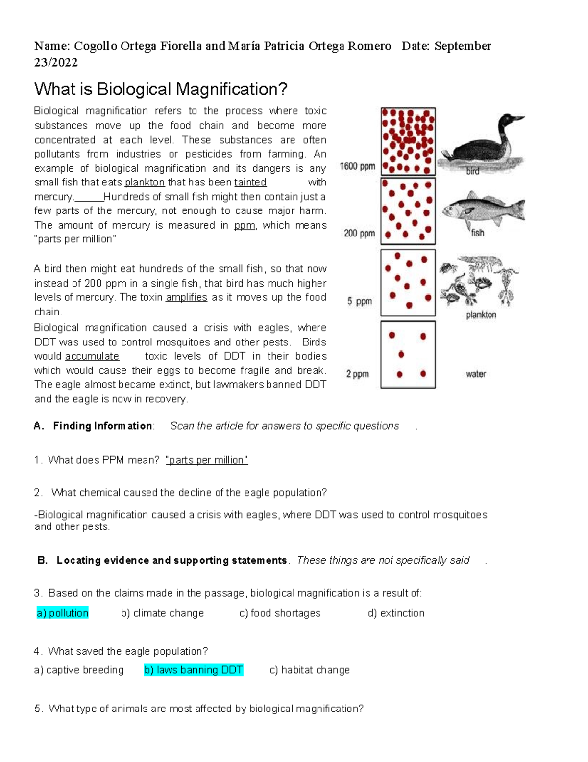 biological magnification essay