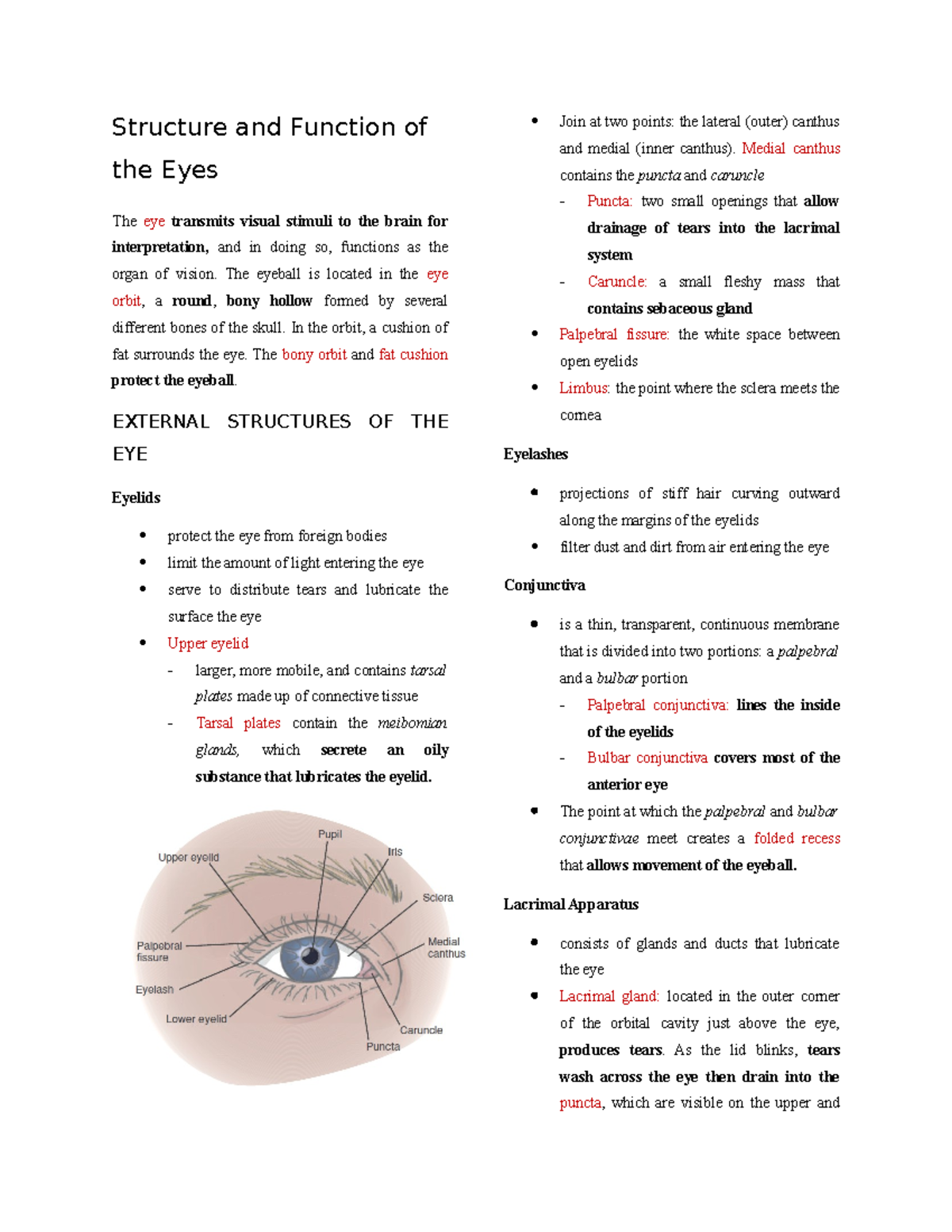 Anatomy of the Eye needed in Health Assessment Structure and Function