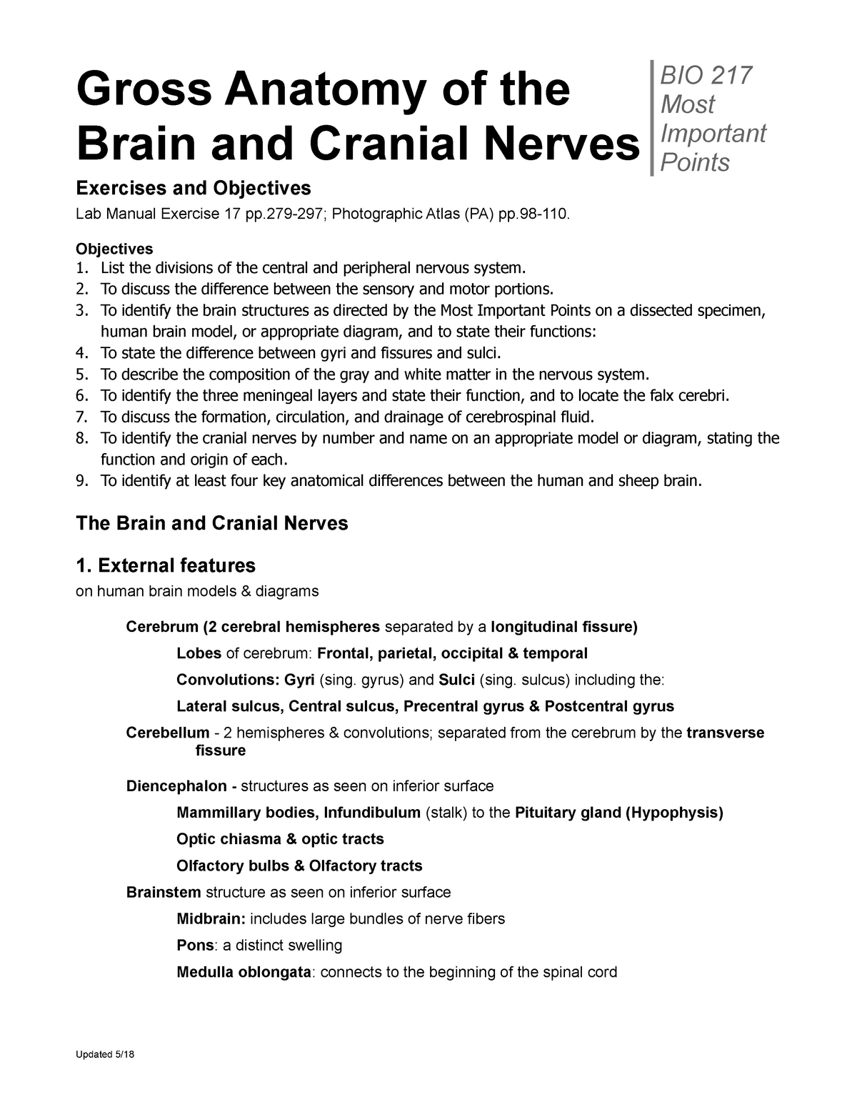 MIP 05 Gross Anatomy of the Brain and Cranial Nerves - StuDocu