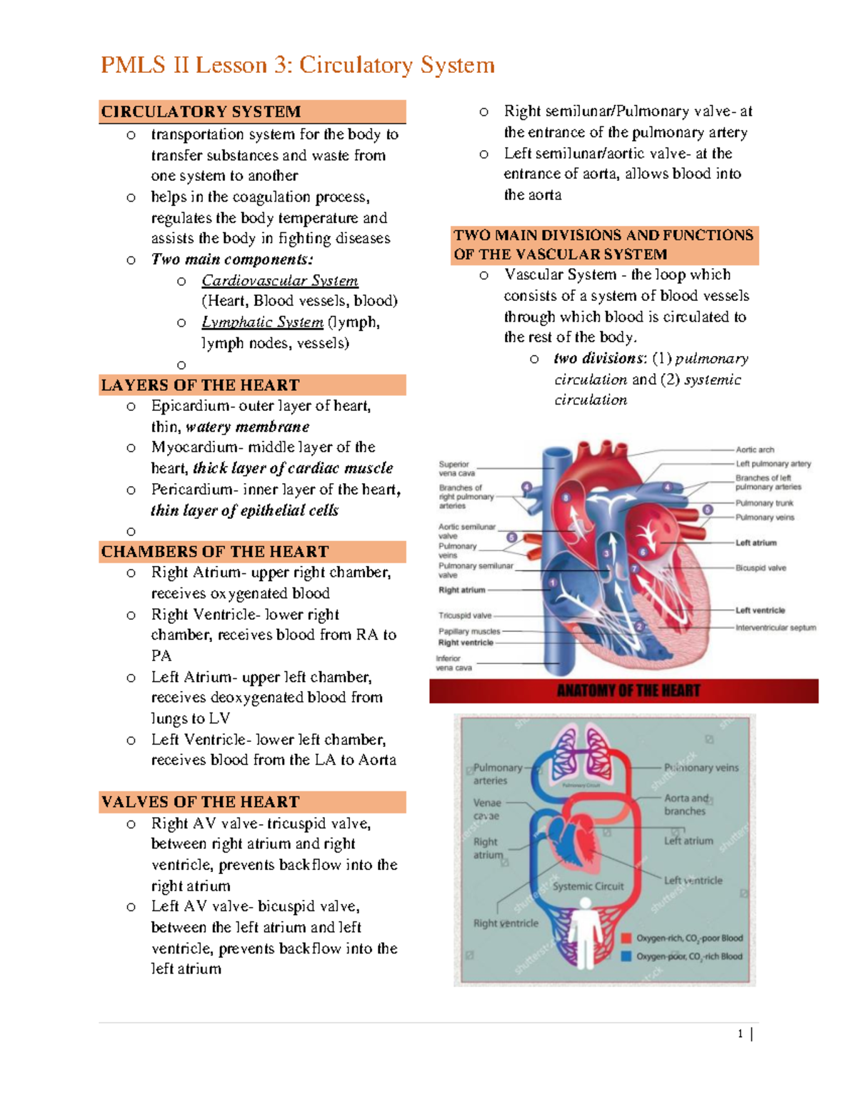 PMLS II Lesson 3 Circulatory System - CIRCULATORY SYSTEM o ...