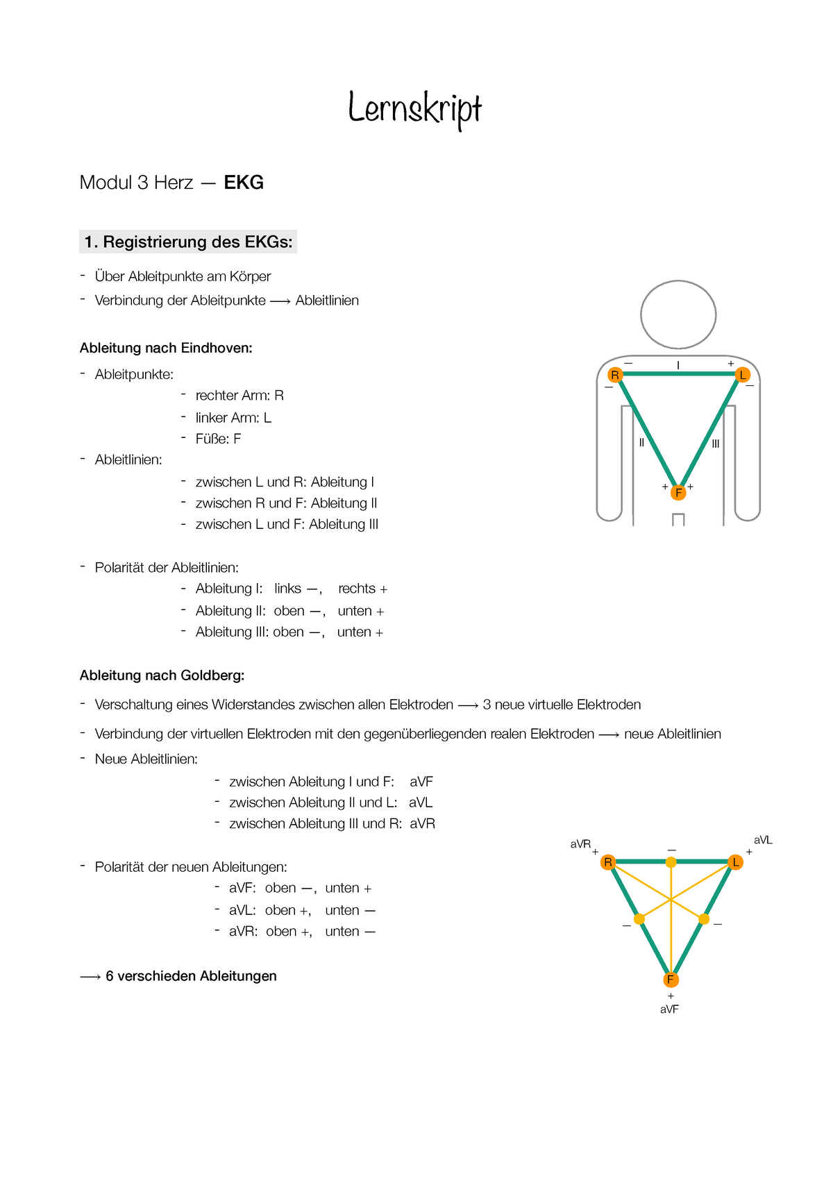 Ekg Physiologie Zusammenfassung Modul 3 Herz Lernskript Modul Herz Ekg Registrierung Des Ekgs Ableitpunkte Am Verbindung Der Ableitpunkte Ableitlinien Studocu