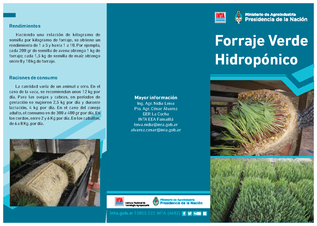 Folleto forraje verde hidroponico nociones basicas - Forraje Verde ...
