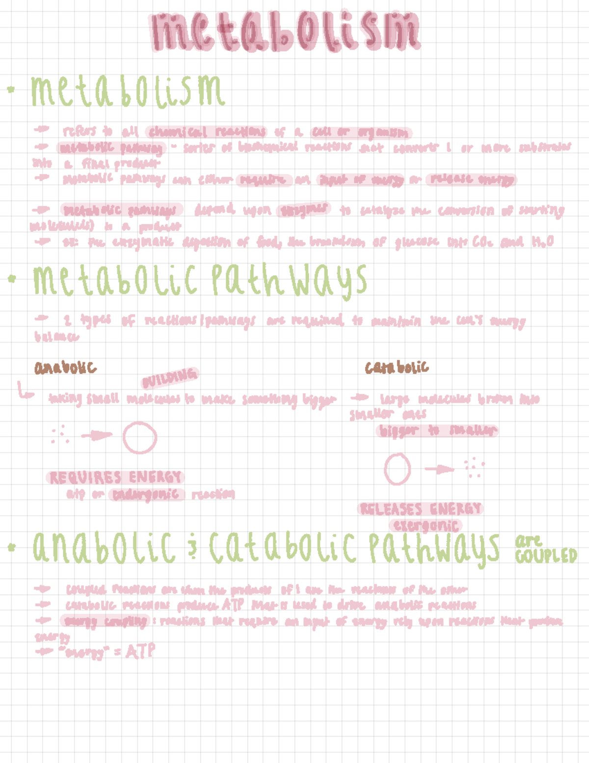 BIOL 1345 Module 5 Metabolism - · MetAbOliSM is refers toall chemical ...