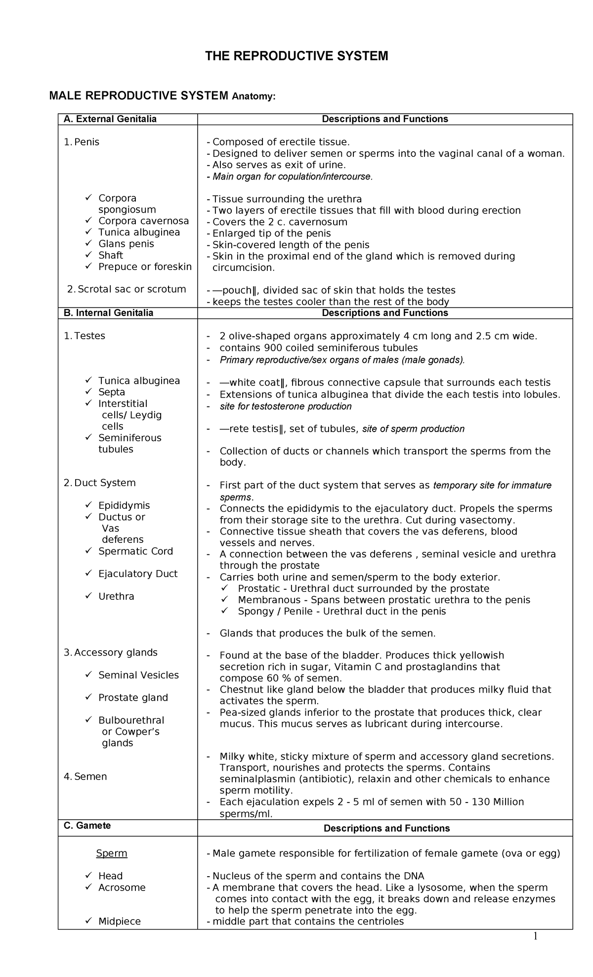 ob-notes-the-reproductive-system-male-reproductive-system-anatomy-a