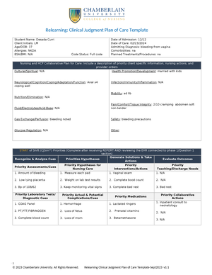 Relearning Clinical Judgment Plan of Care Template Sept23 4) - Student ...