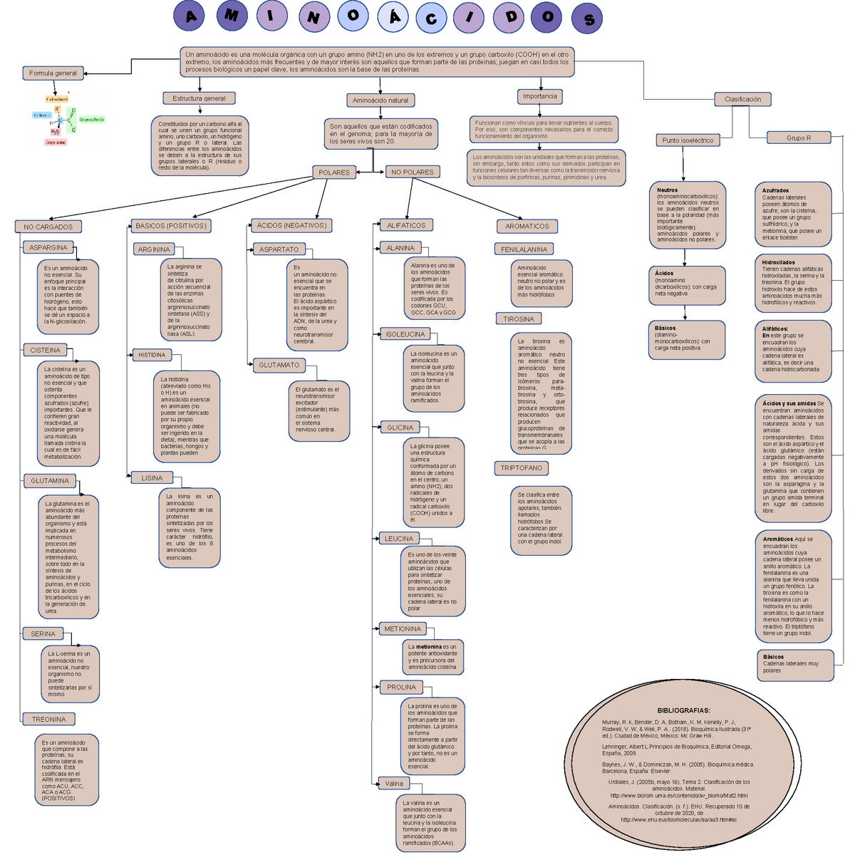 Mapa conceptual Aminoácidos - Bioquímica - UABC - Studocu