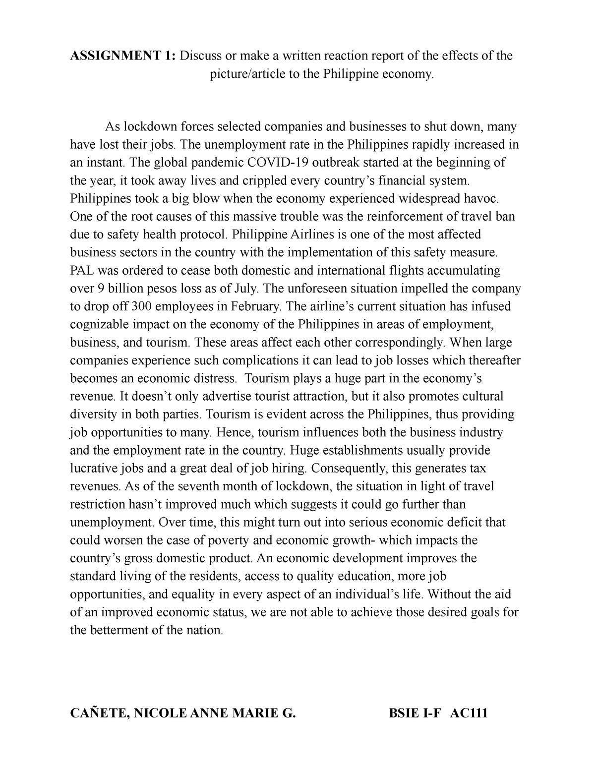 economics essay assignment