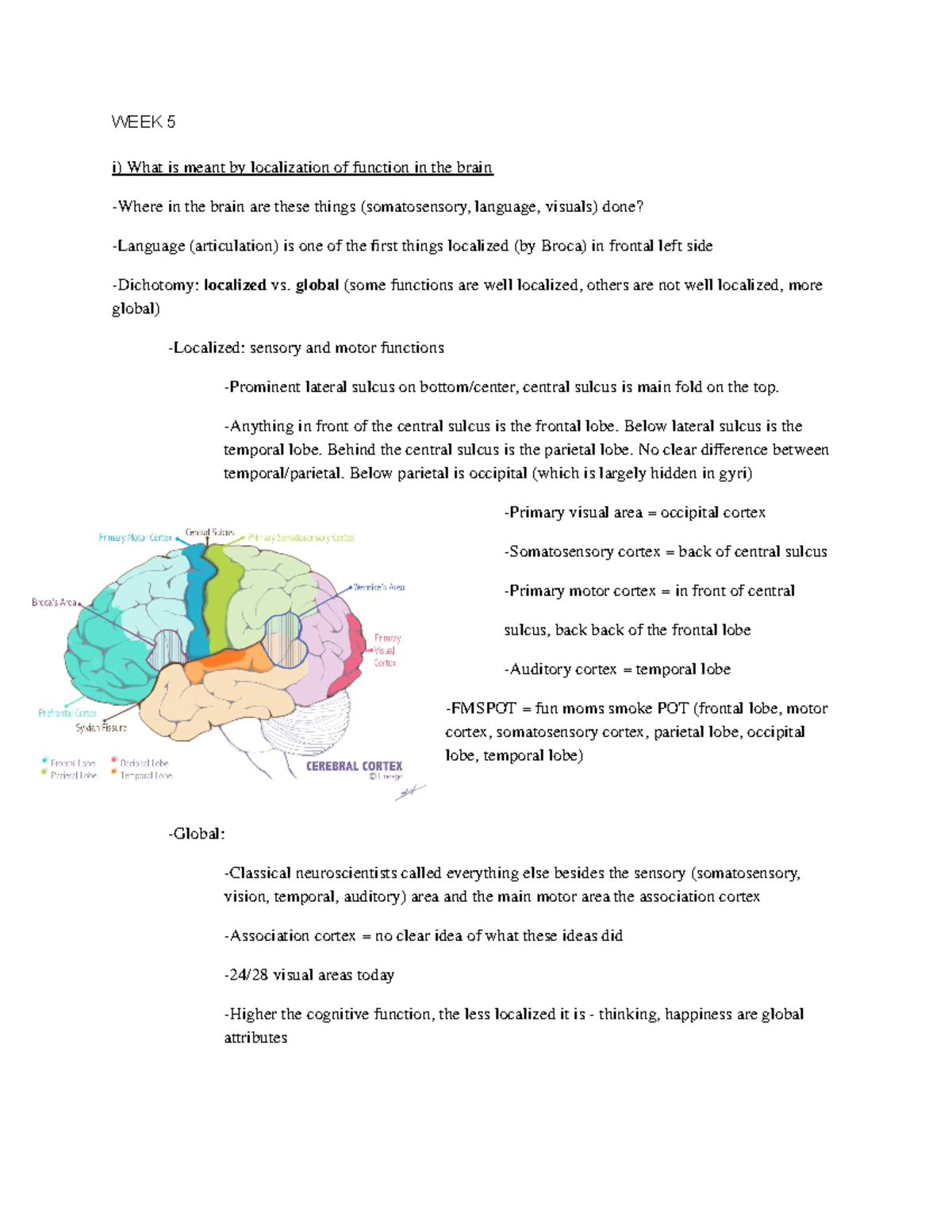 Neuropsych WEEK 5 - PSYC 3118 - WEEK 5 i) What is meant by localization ...