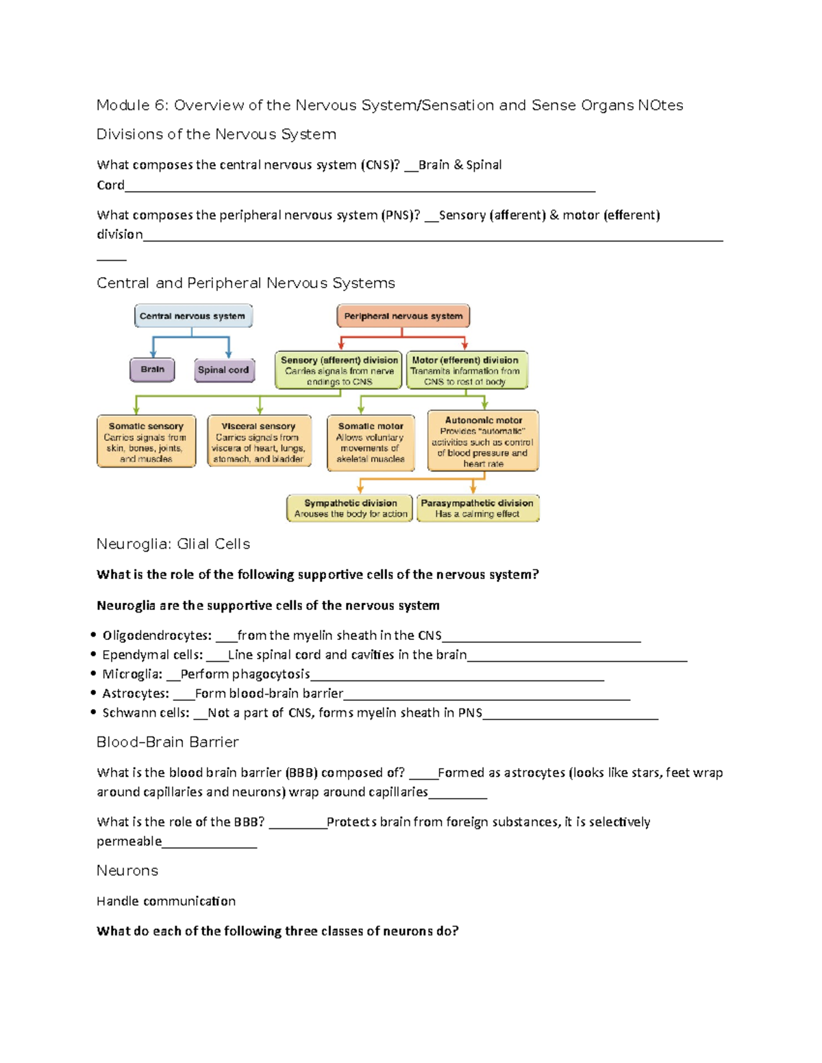 Module 6 - Overview of Nervous System and Sensation and Sense Organs ...