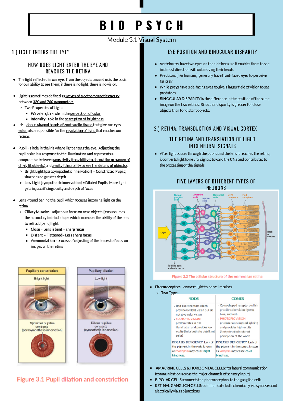 Bio Psych - Module 3 Visual System 1.) LIGHT ENTERS THE EYE” The light ...