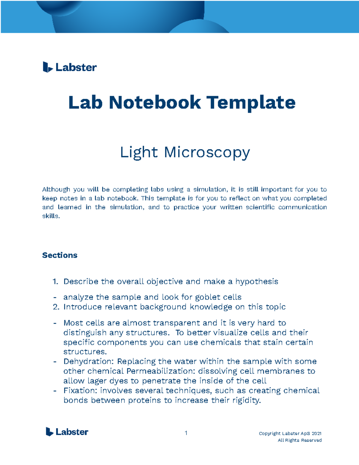 Light Microscopy Lab with Dr. White Lab Notebook Template Light
