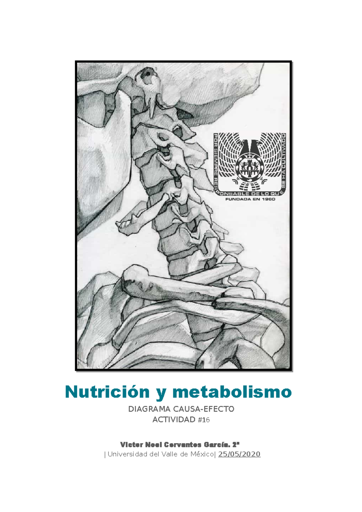 Actividad NYM Nutrición y metabolismo DIAGRAMA CAUSA EFECTO ACTIVIDAD Victor Noel Cervantes