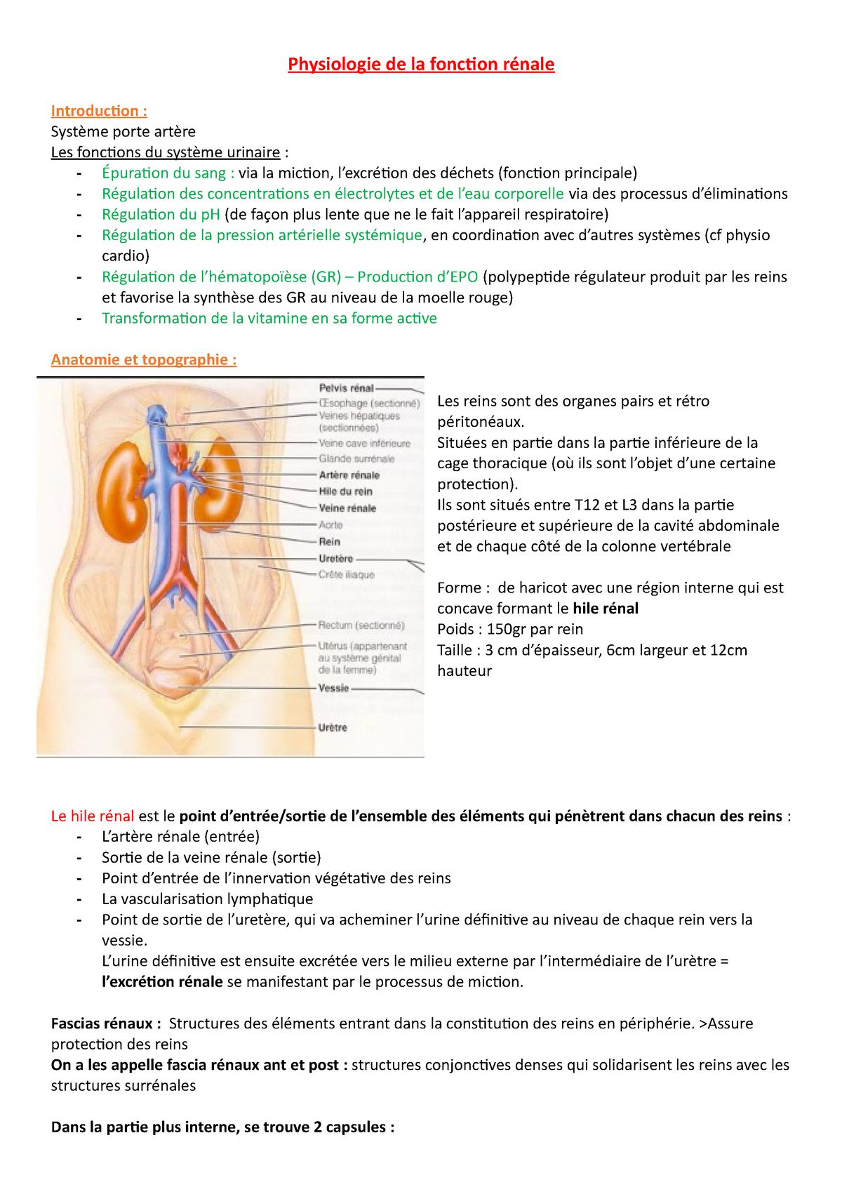 Fonction Rénale Cours Physiologie Du Système Rénal Mflamment Physiologie De La Fonction 7022