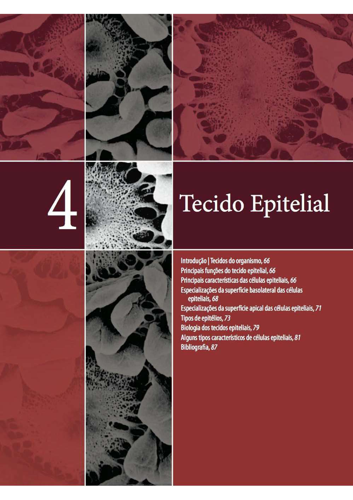 4e5 Histo - Utilizar Para Estudar E Aprimorar Os Seus Estudos ...