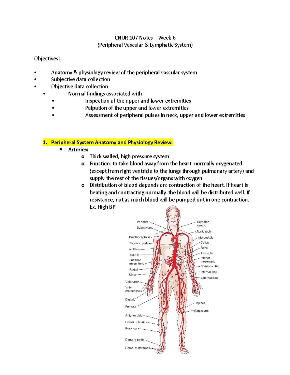 Cnur Notes Week Cnur Notes Week Peripheral Vascular Lymphatic System Studocu