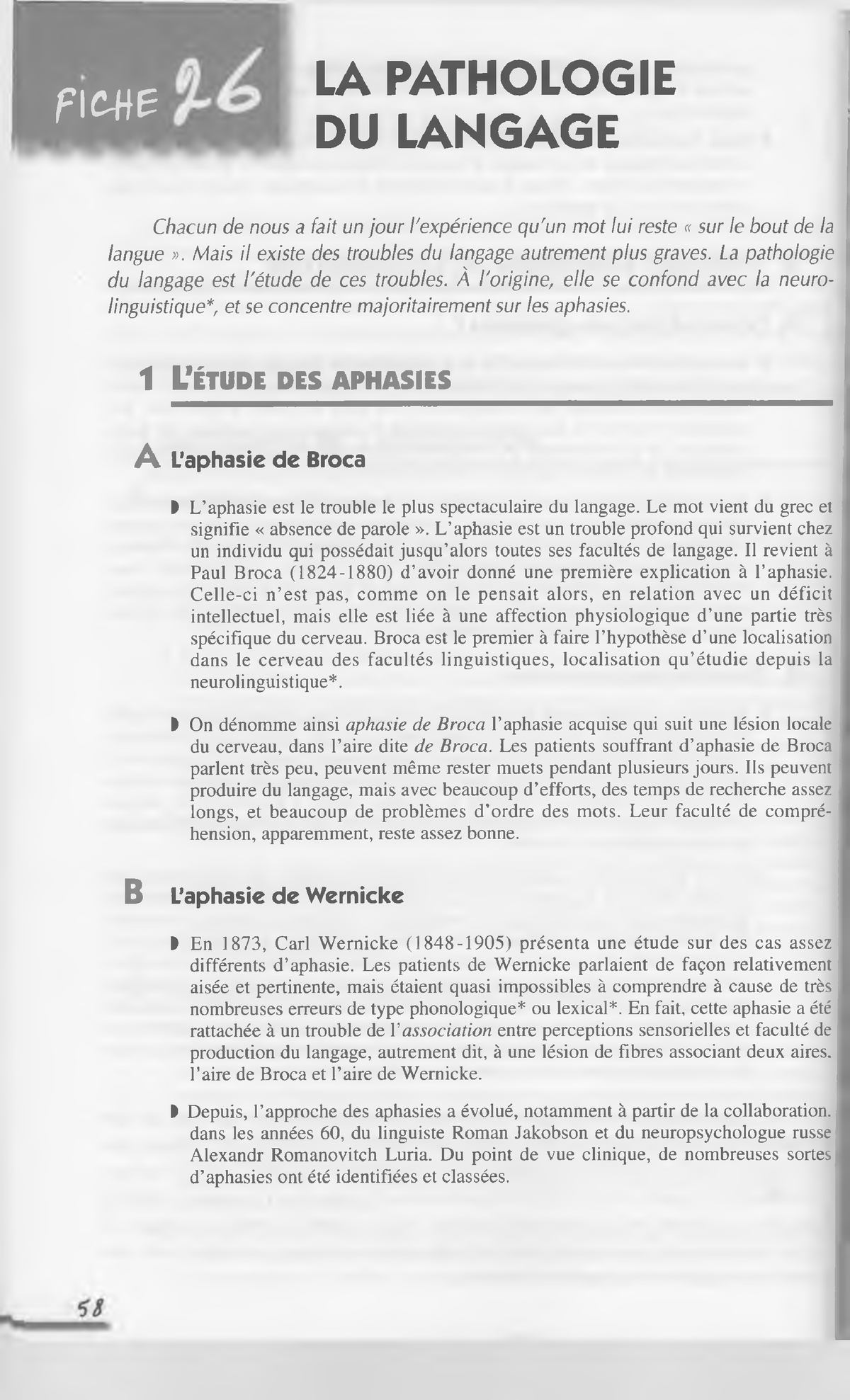 la-linguistique-26-la-pathologie-du-langage-f-cwe-l-a-p-a-t-h-o-l