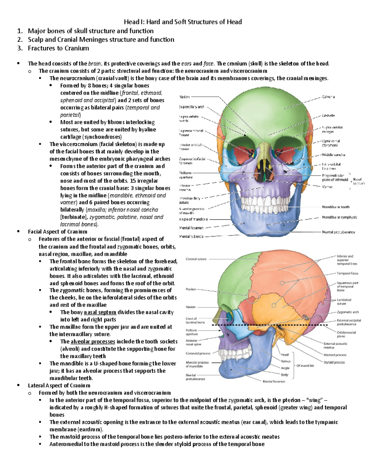 1. Head I - Nelson - Head I: Hard and Soft Structures of Head 1. Major ...