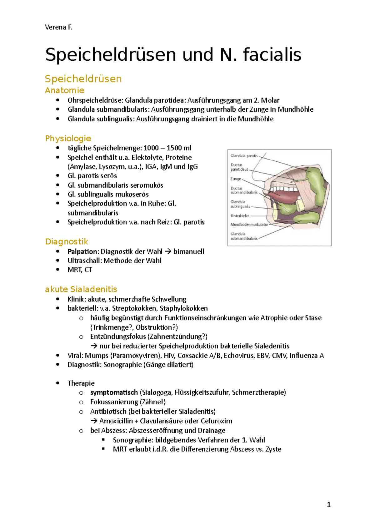 Hals-Nasen-Ohrenheilkunde Speicheldrüsen Und N. Facialis ...