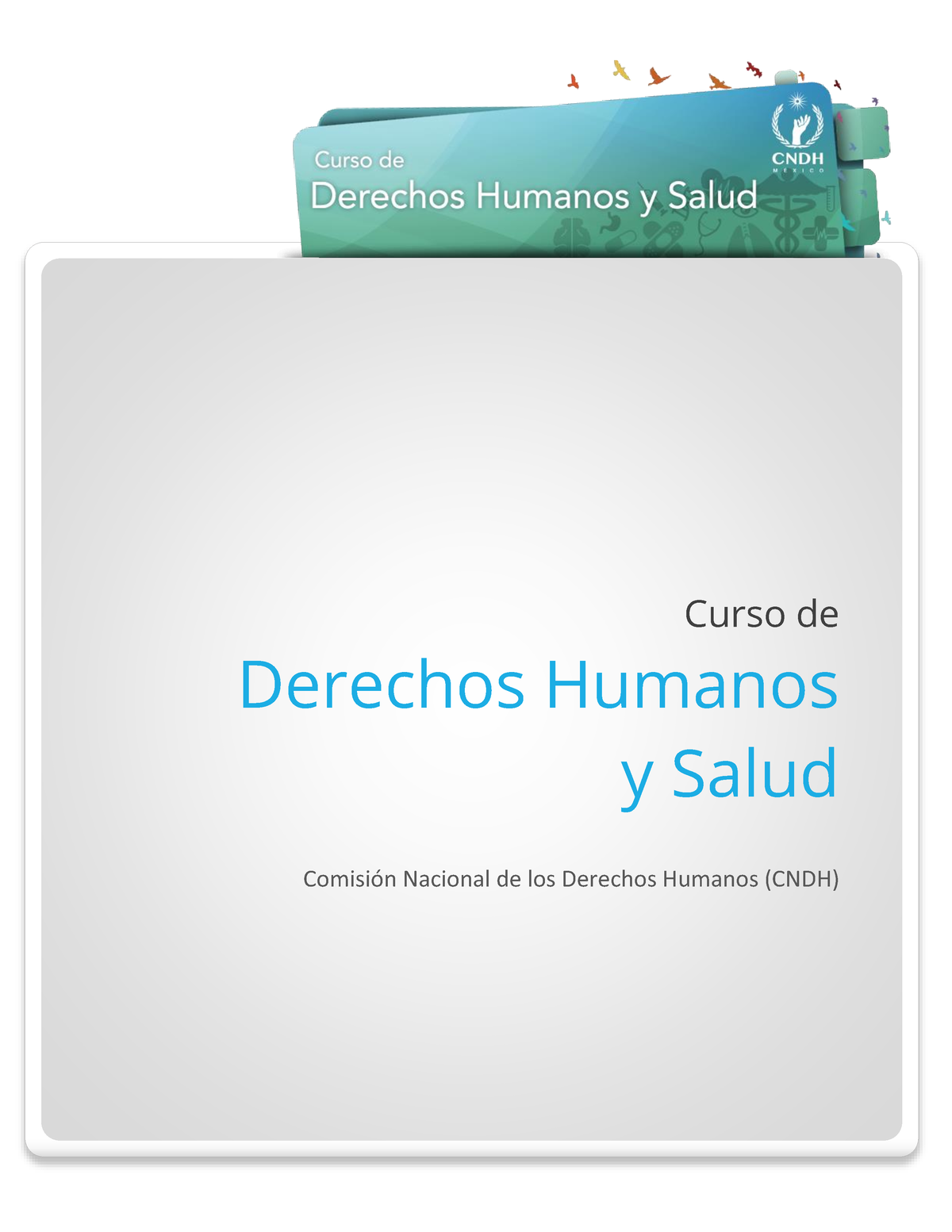 CDHS-Final - Derechos Humanos Y Derecho A La Salud - Curso De Derechos ...