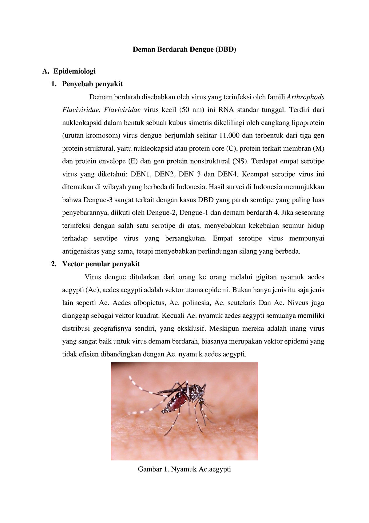 Epidemiologi Deman Berdarah Dengue - Deman Berdarah Dengue (DBD) A ...