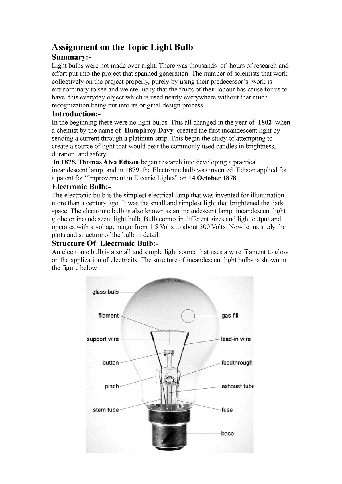 speech on the topic light bulb