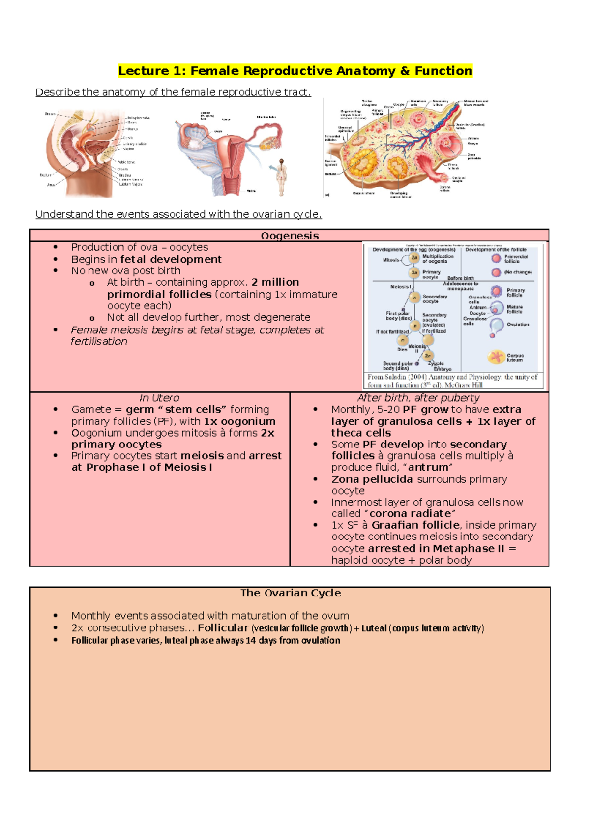 Lecture notes - Lecture 1: Female Reproductive Anatomy & Function ...