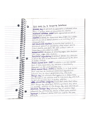 BUS 444 Notes - CHAPTER 1: THE SYSTEMS DEVELOPMENT ENVIRONMENT ...