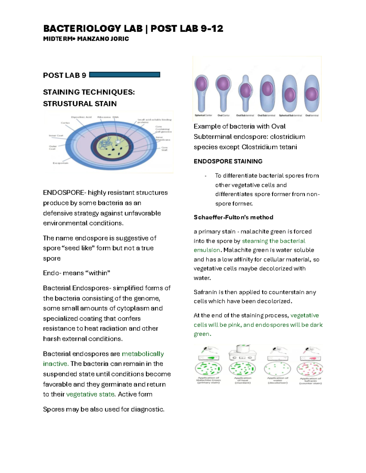 Bacte LAB Midterm Compilation - BACTERIOLOGY LAB | POST LAB 9- 12 ...