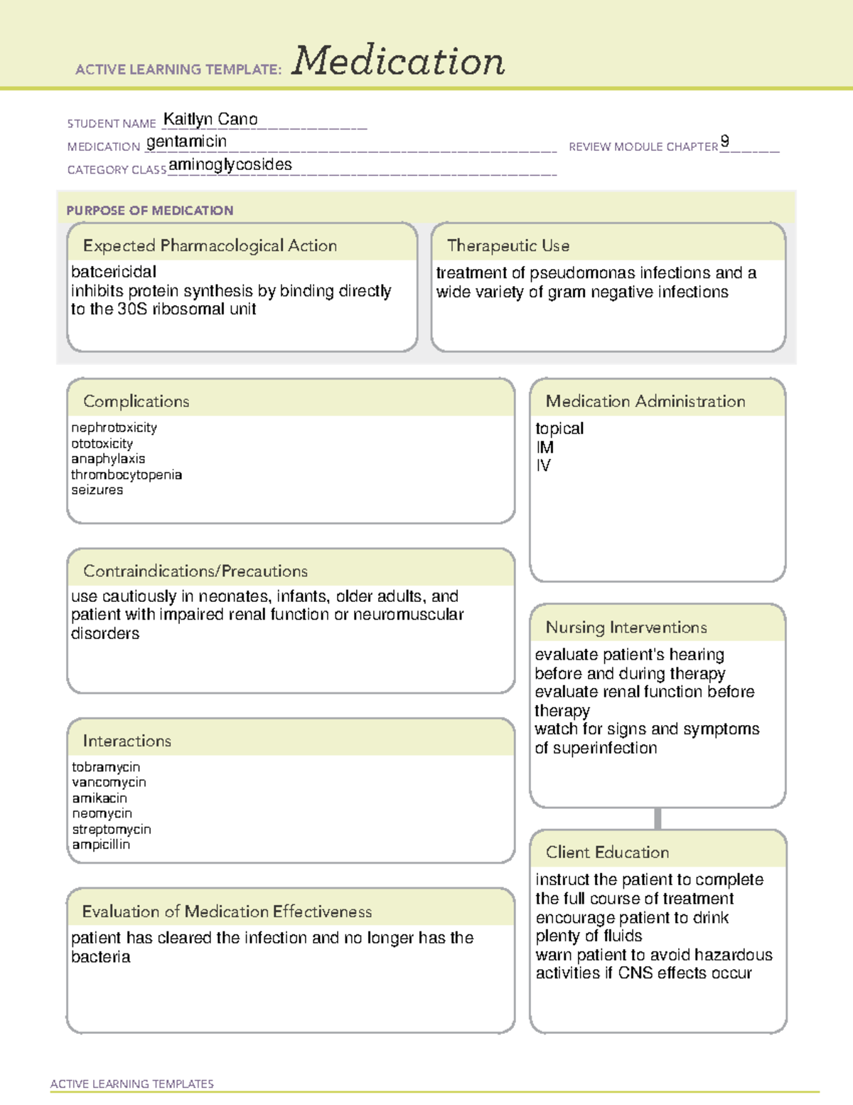 Gentamicin Template Active Learning Templates Medicat vrogue.co