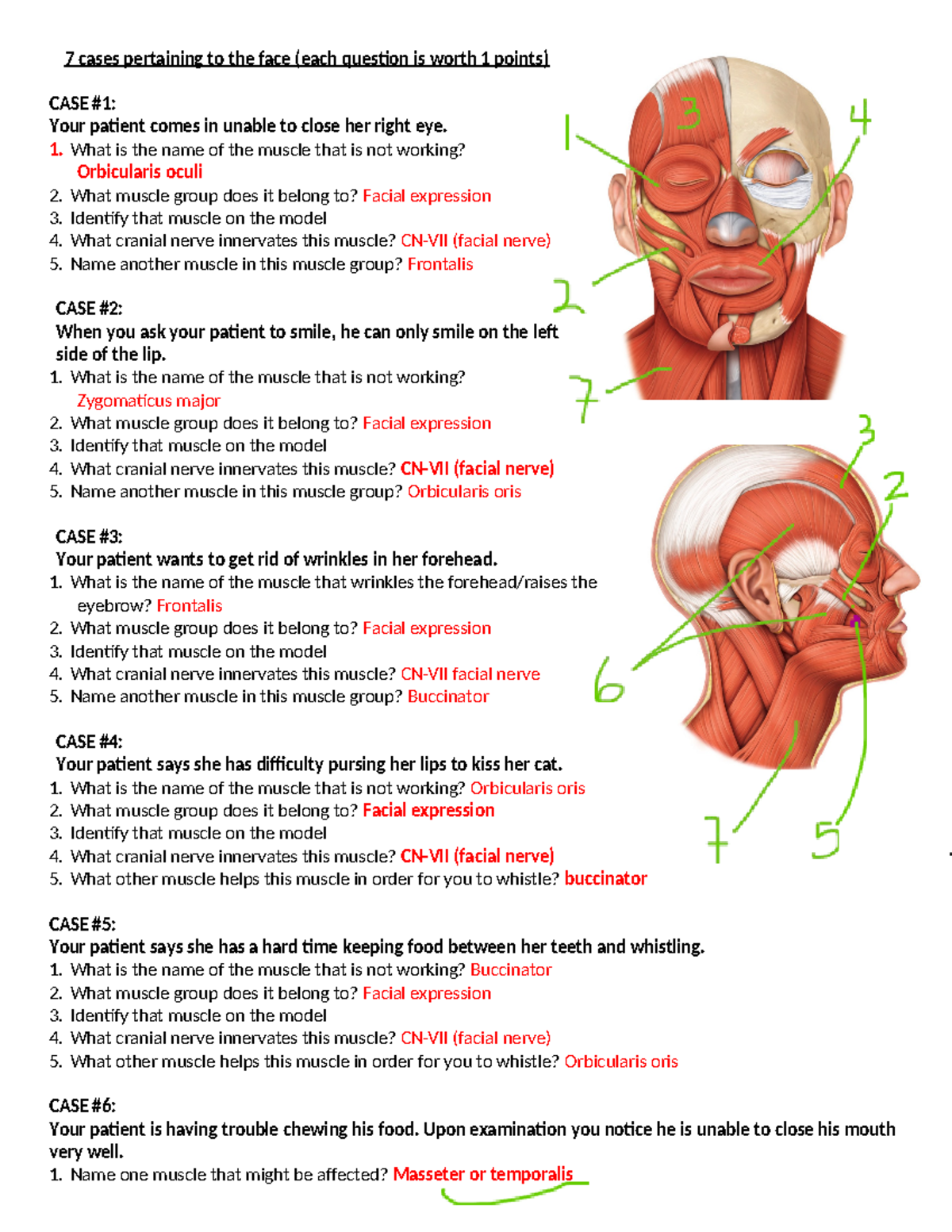 1. Practical 3 face cases answer key 7 cases pertaining to the