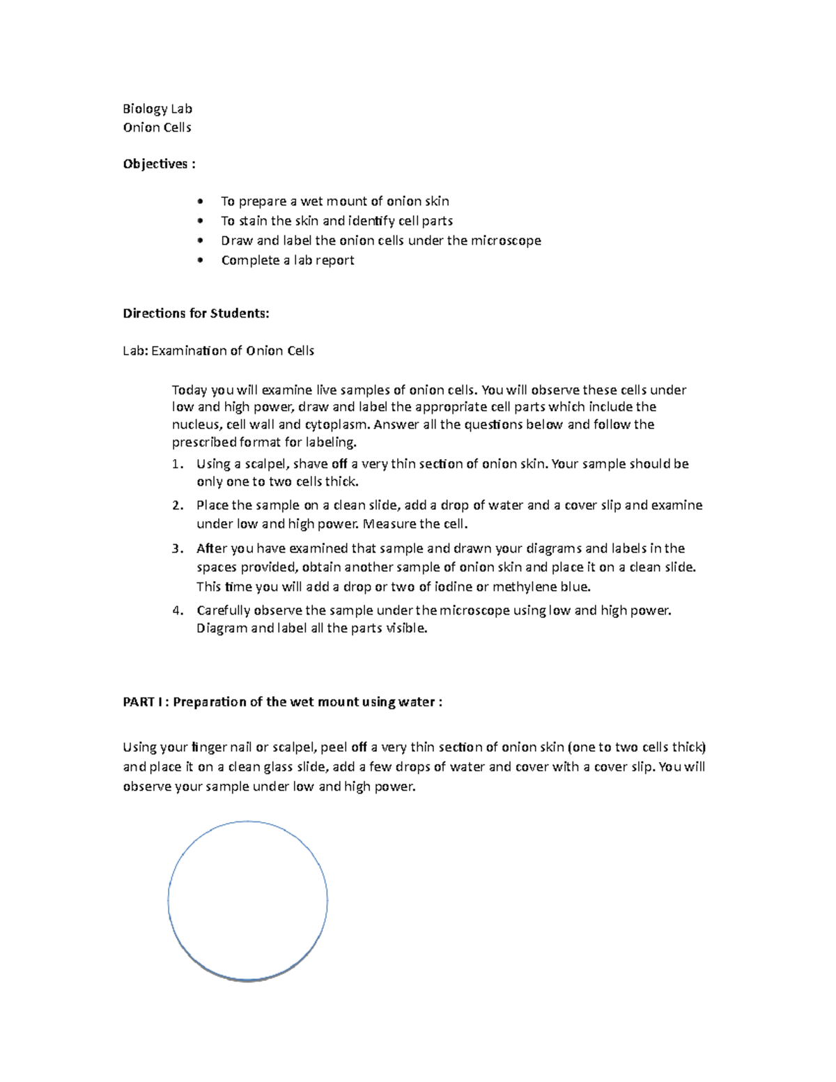 Onion Cells Biology Lab Onion Cells Objectives To prepare a wet