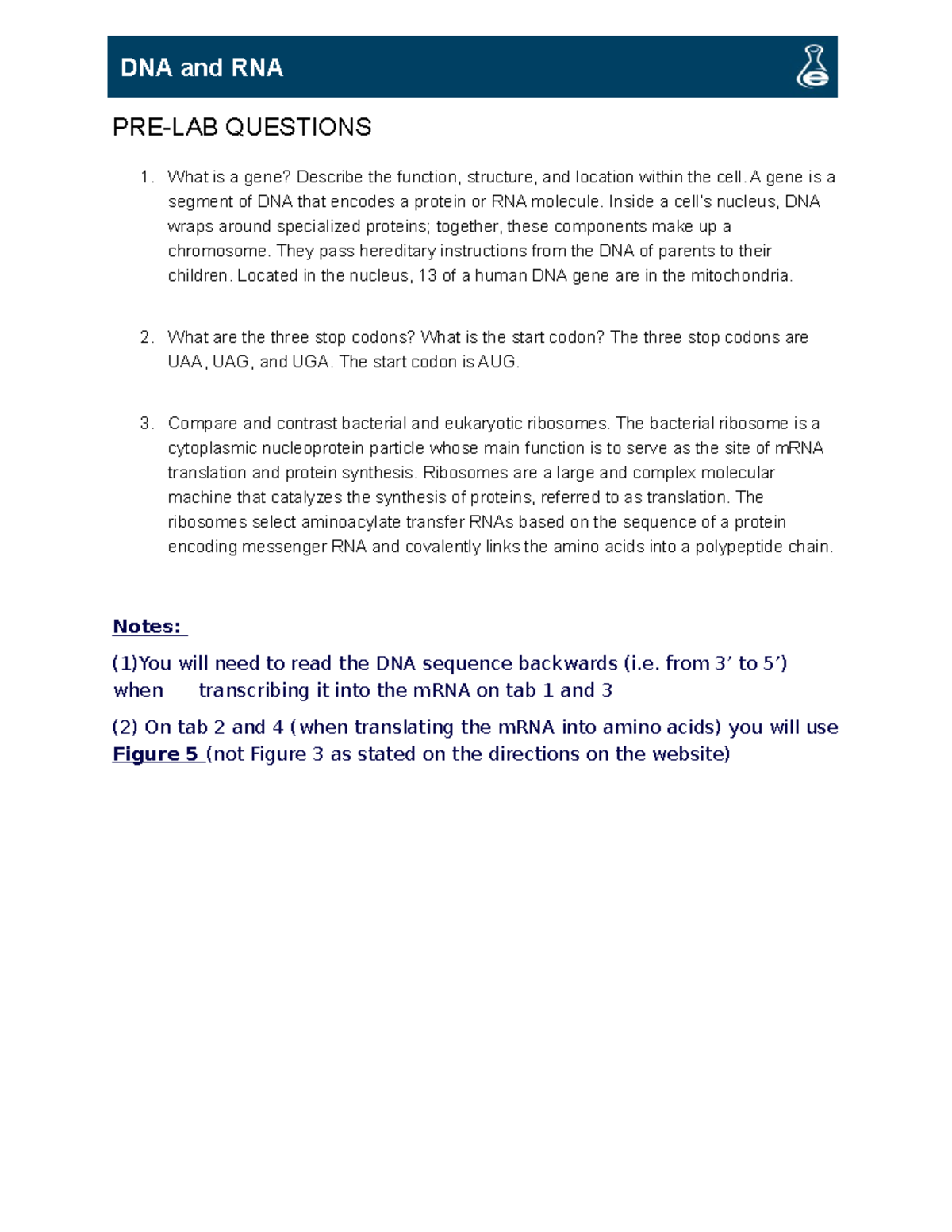 DNA and RNA Lab discussion worksheet - BIOL 101 - Studocu