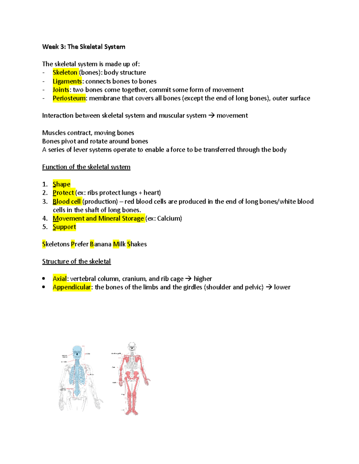 Anatomy 2 - Lecture Notes 2 - Week 3: The Skeletal System The Skeletal ...