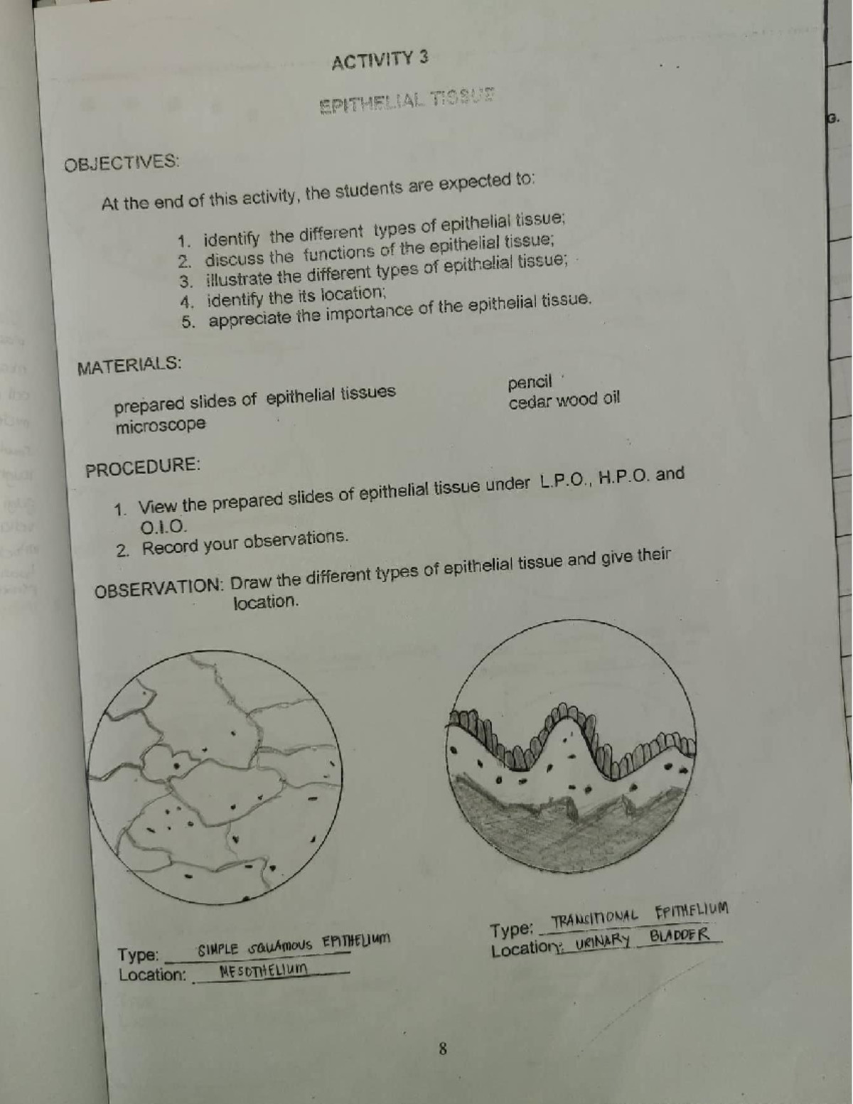 histology-coverage-apoptosis-bioethics-uz-studocu