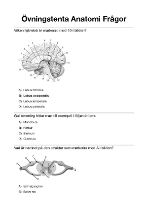 Anatomi Och Fysiologi Exempel Tentamen - Kroppen Och Omvårdnad Anatomi ...