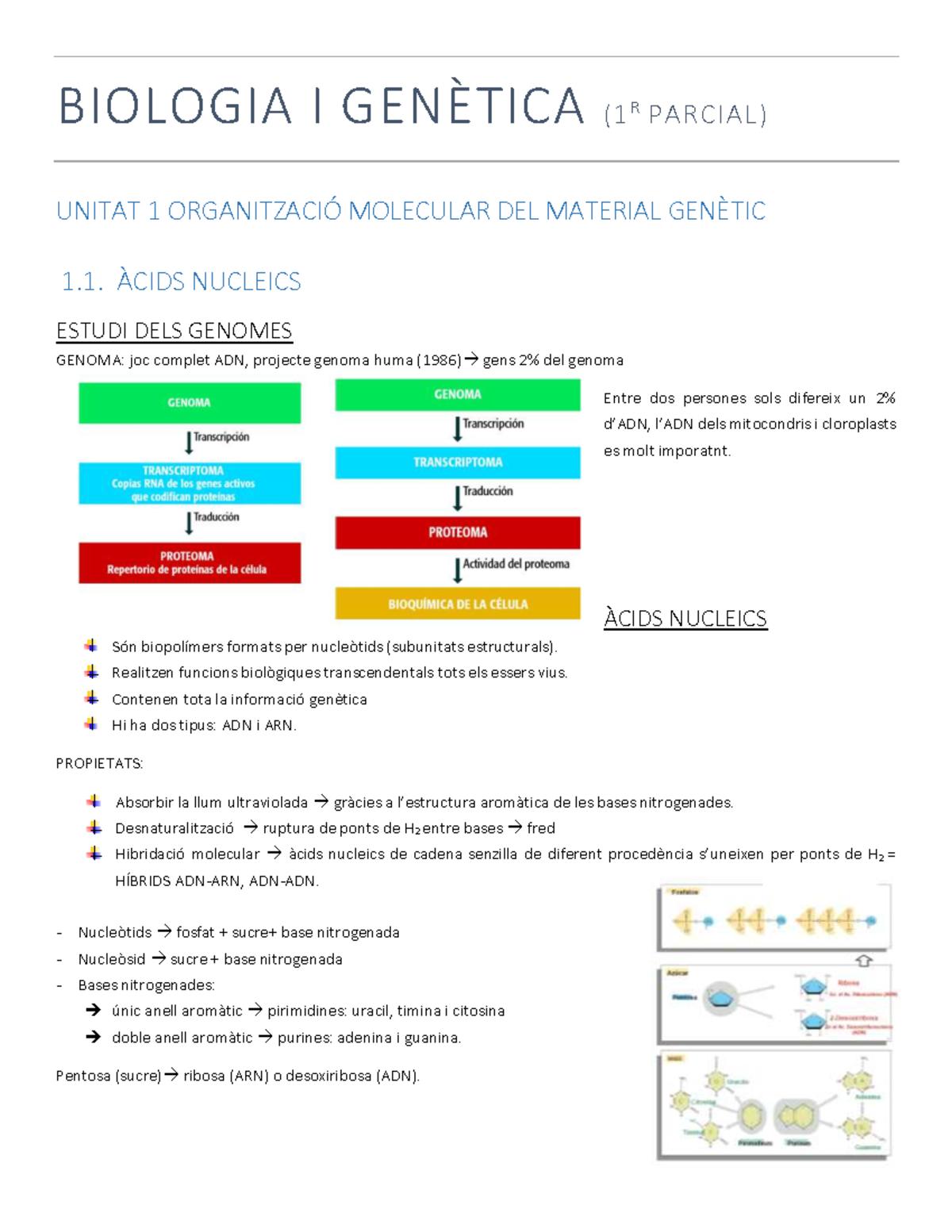 ExÀmen 1R Semestre (1) Imprimir - BIOLOGIA I GENÈTICA (1 R PARCIAL ...