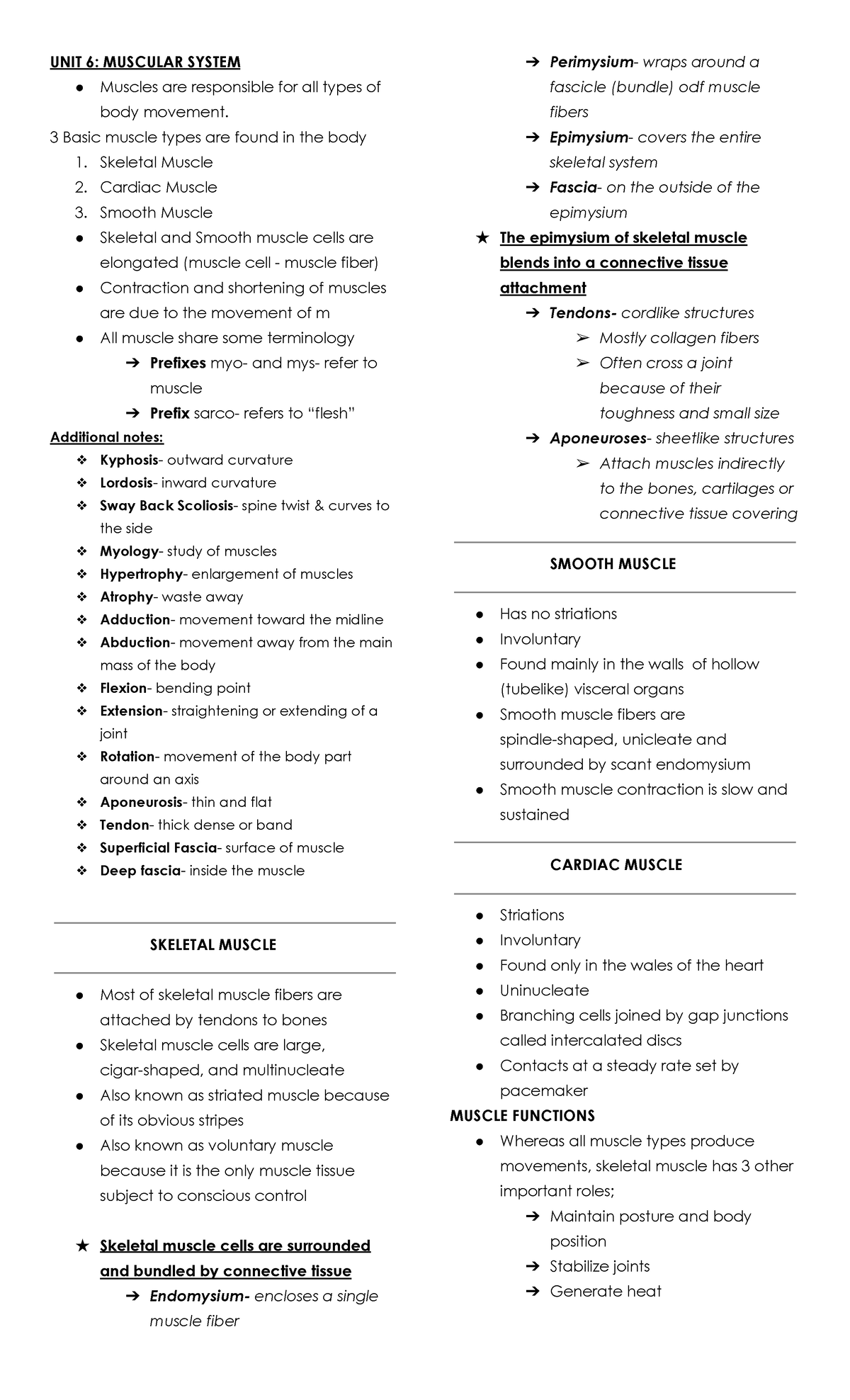 Muscular System - goodluck - UNIT 6: MUSCULAR SYSTEM Muscles are ...