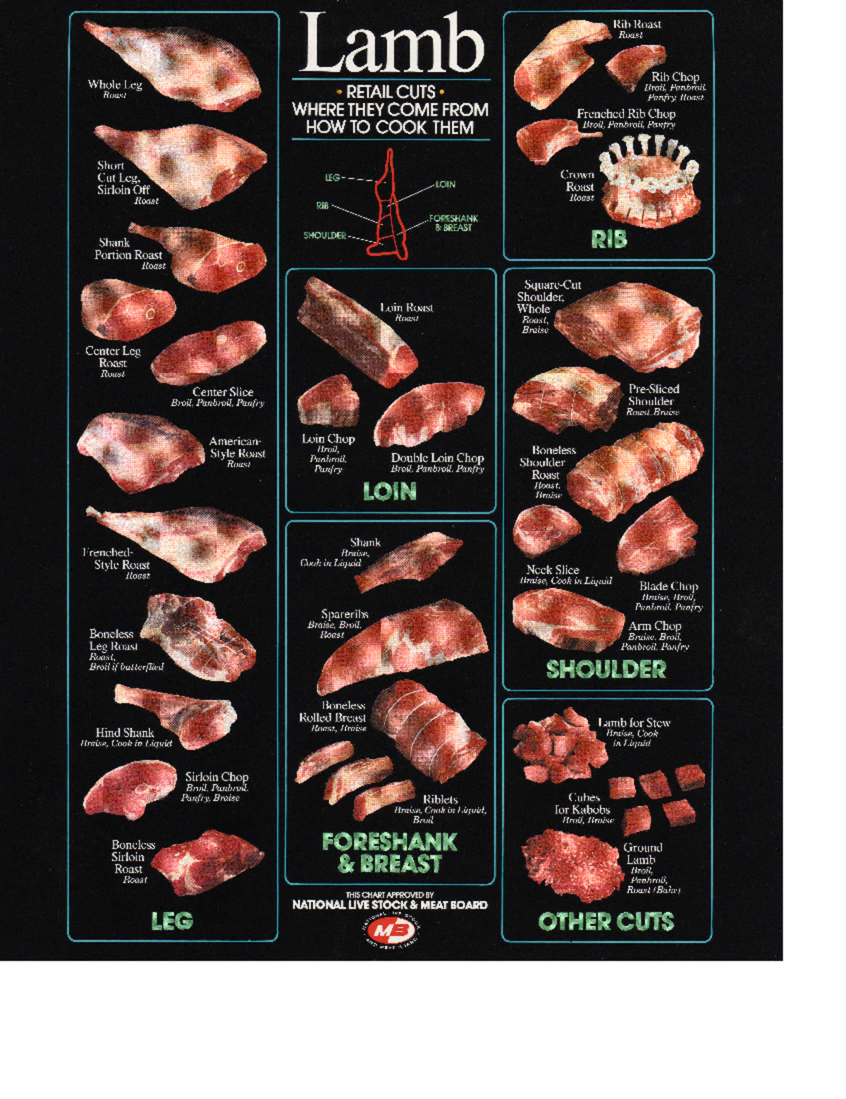 Lamb Cuts Diagram 2 - Btvted - Lamb Rib Roast Roast Rib Chop Whole Leg ...