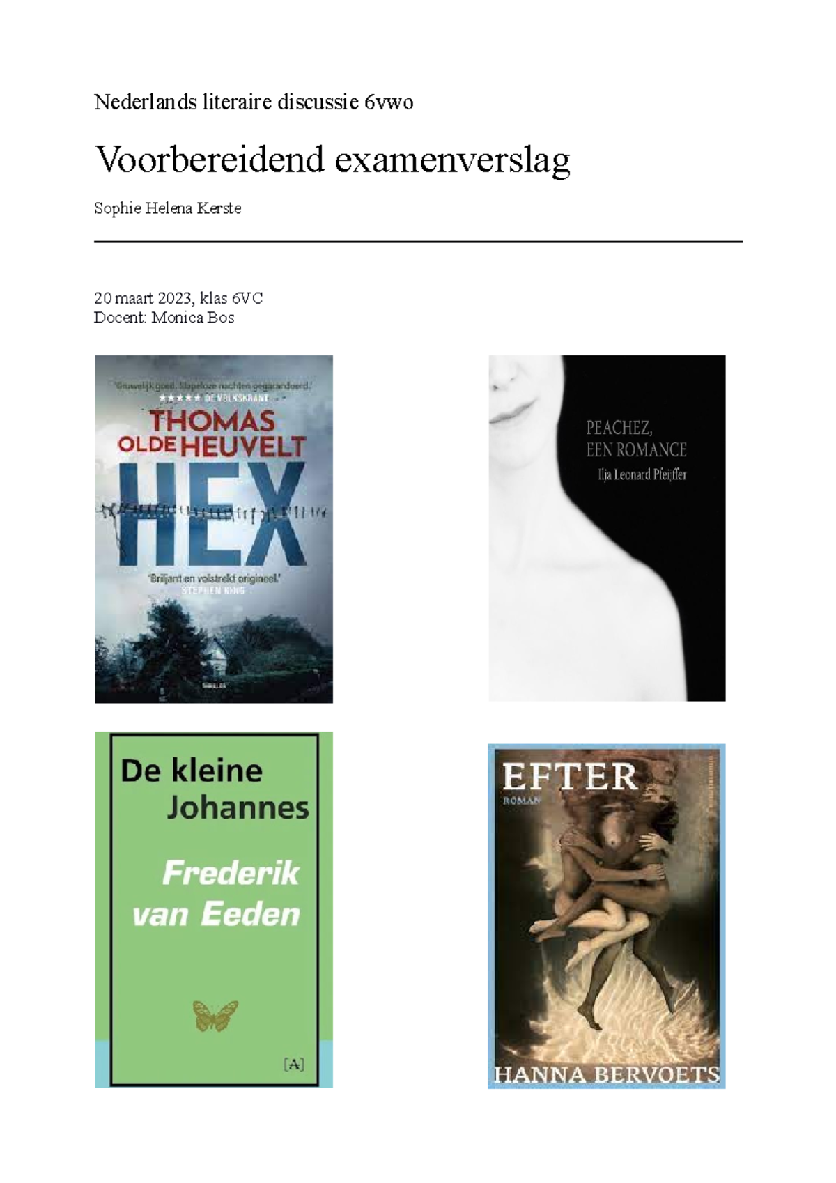 Documt Nederlands Mondeling Verslag Nederlands Literaire Discussie