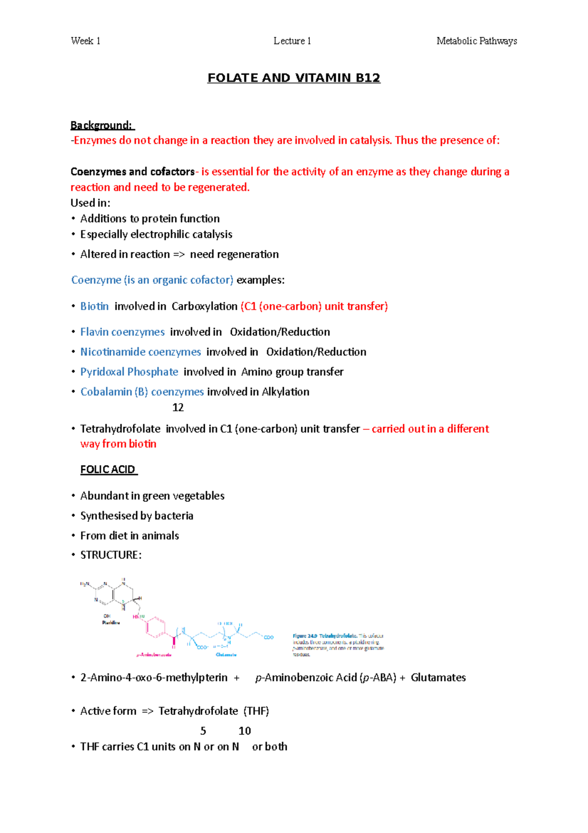 Folate AND Vitamin B12 notes - FOLATE AND VITAMIN B Background: Enzymes ...