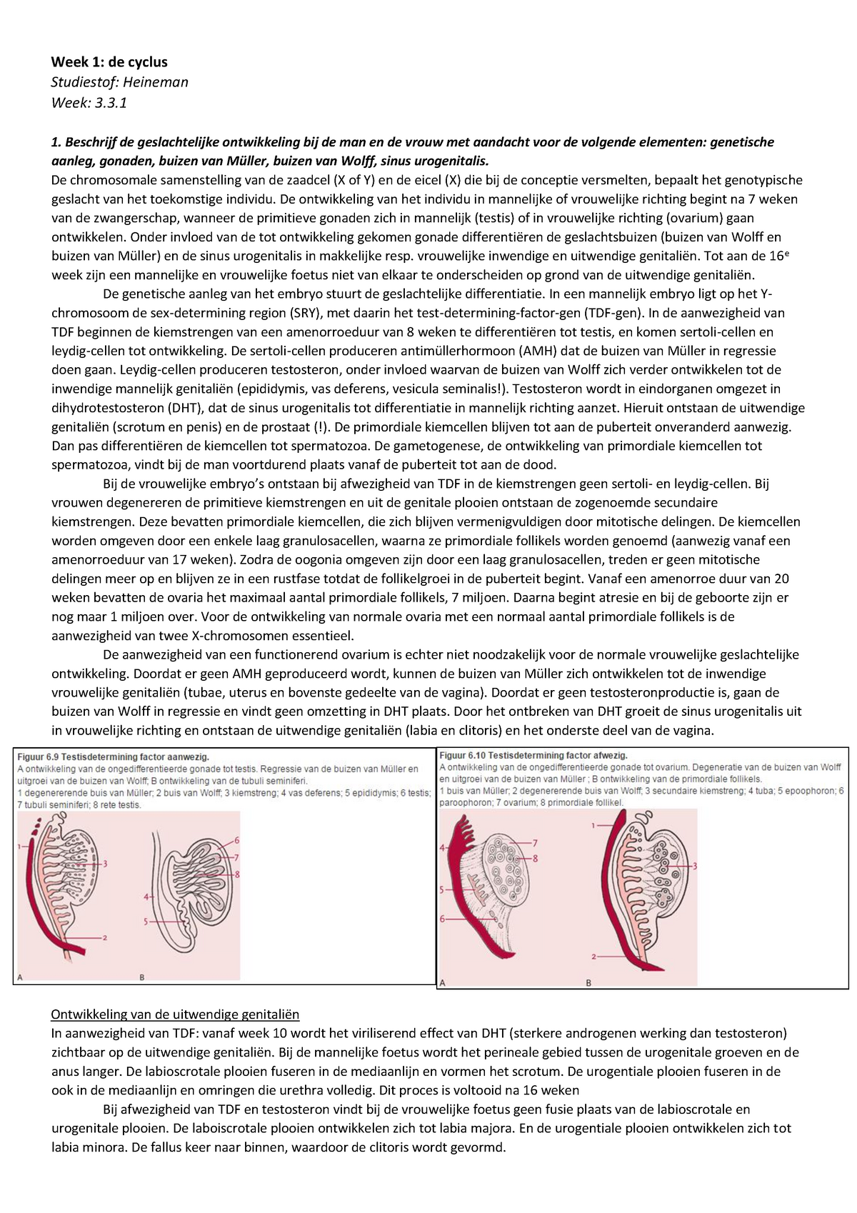 Leervragen Wk 1 Docx Gk3 3g2010 Studeersnel