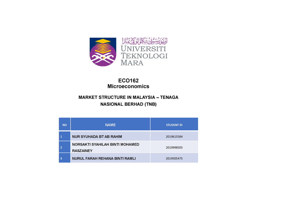 eco162 group assignment market equilibrium