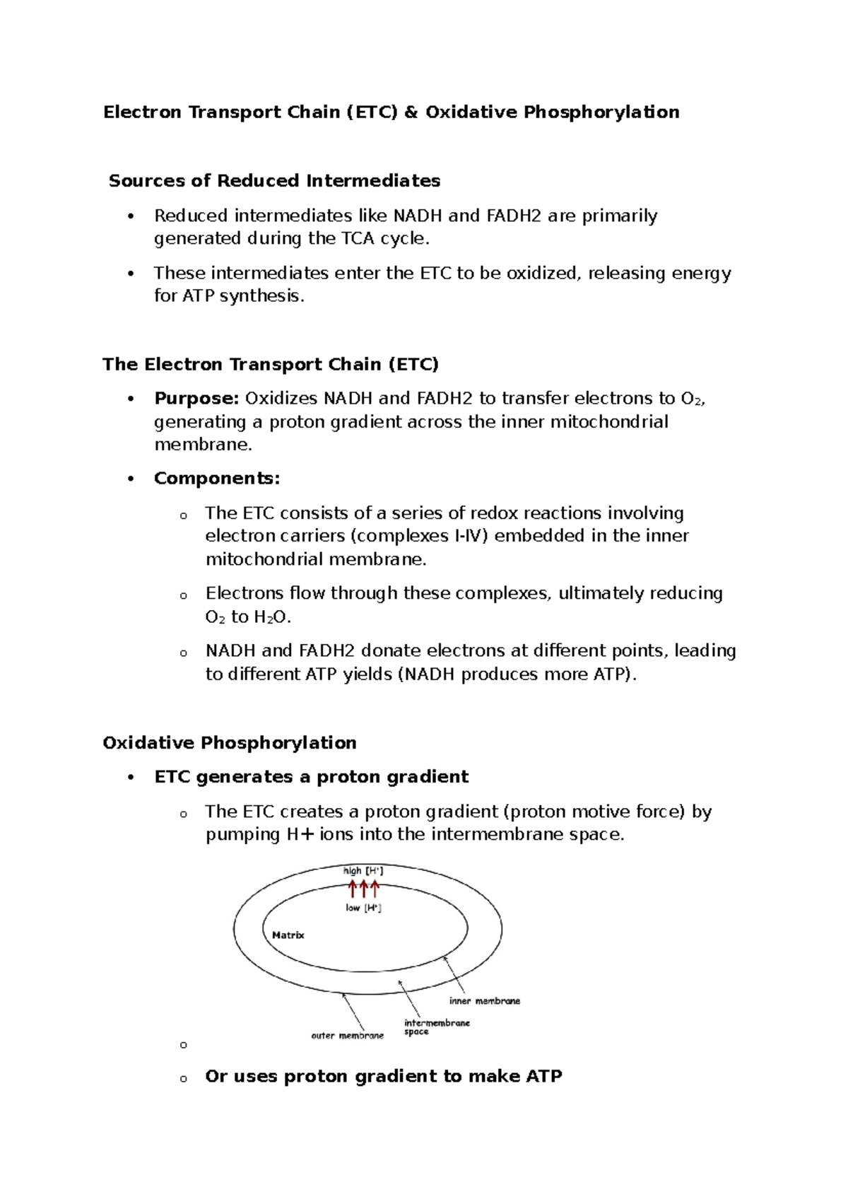 Lecture notes ETC and oxidative phosphorylation - Electron Transport ...