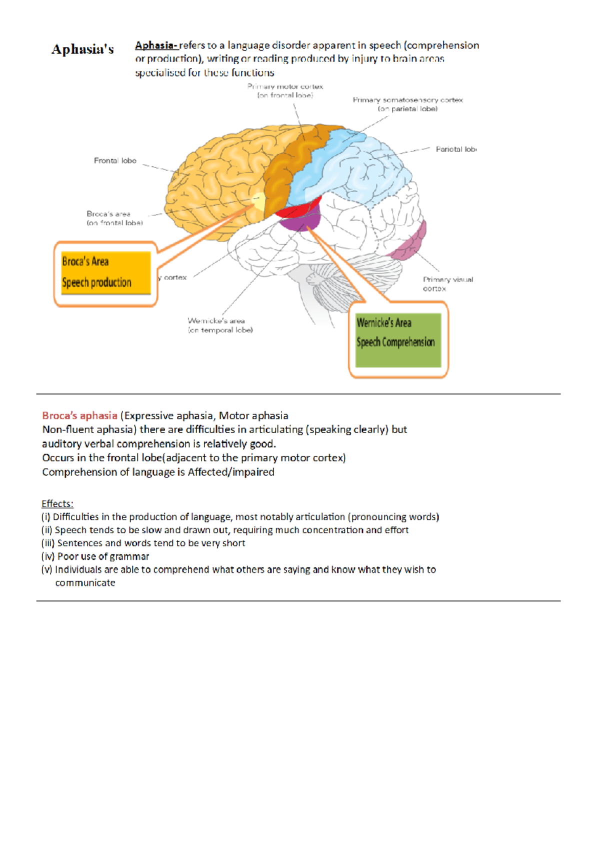 Broca's & Wernicke's Aphasias - PSYC20007 - - Studocu