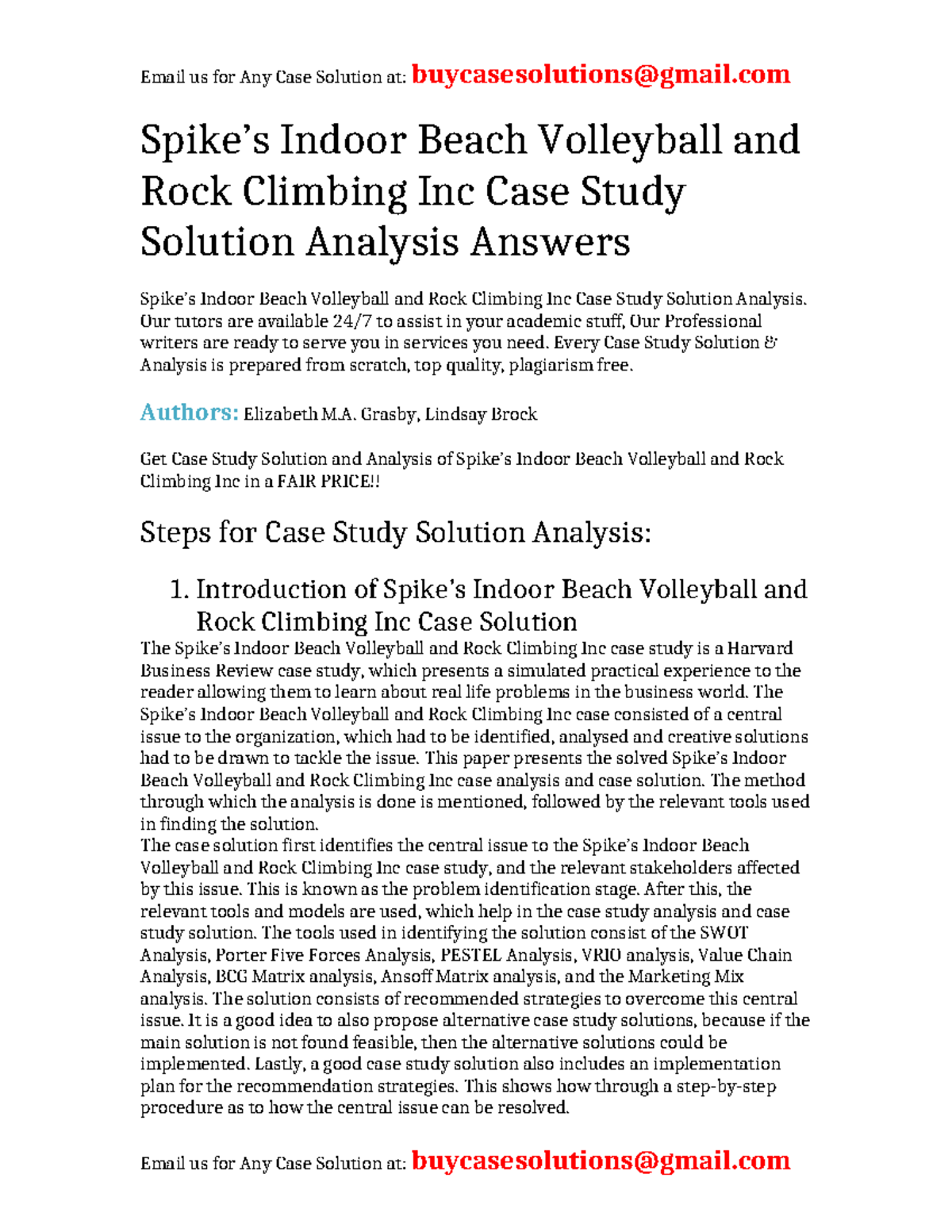 Case Solution Spike's Indoor Beach Volleyball and Rock Climbing Inc
