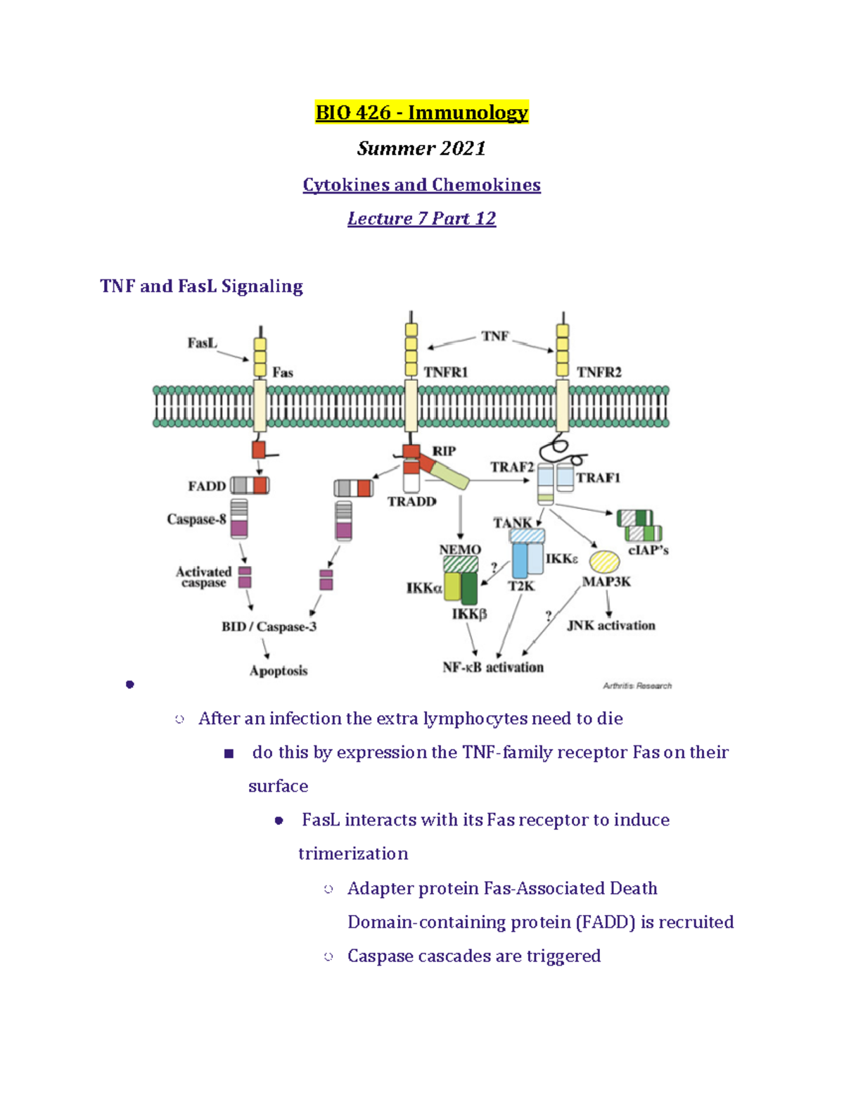 BIO 426 Lecture 7 Part 12 - Summer 2021 - BIO 426 - Immunology Summer ...